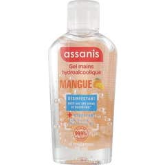 Assanis Pocket Hidroalcoholic Gel Mango 80ml