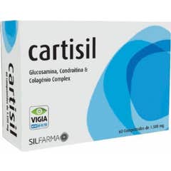 Cartisil 60comp