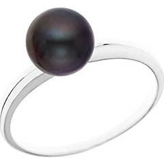 Beech Hook Rod Rod Holder Black S2017N