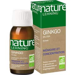 Lehning Nature Ginkgo Biloba Estratto 60ml