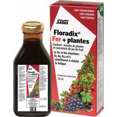Floradix Fer + Plante 250ml
