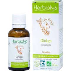 Herbiolys Ginkgo Bio Gemoterapia Sin Alcohol 30ml