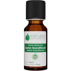 Voshuiles Aceite Absoluto de Jazmín Grandiflorum 2 ml