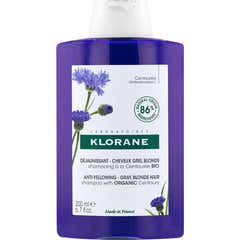 Klorane Centaurea Anti-Yellowing Shampoo Bio 200ml