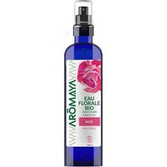 Aromaya Ef Blueberry 200Ml