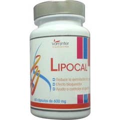 Vaminter Lipocalblok 600 60caps