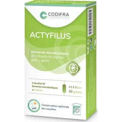 Codifra Actyfilus Immunité 30 glules