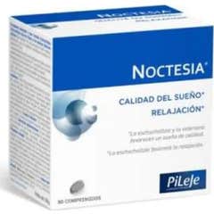 Pileje Noctesia 90comp