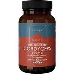 Terranova Córdiceps 500 Mg (Cordyceps Sinensis) 50 Cápsulas