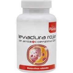 Plantis Levadura Roja Arroz Q10 120caps Plantis Levadura Roja Arroz Q10 120caps