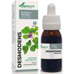 Desmodens Xxi Soria Natural Extract