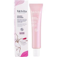 Melvita Source de Roses Gel Crema Hydra Glow Bio 40 ml