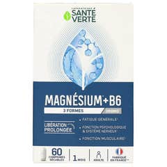 Sante Verte Magnesio 3 Formas 360mg 60comp