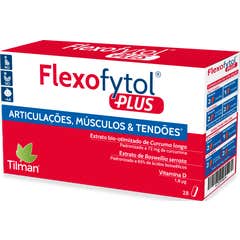 Flexofytol Plus 28comp