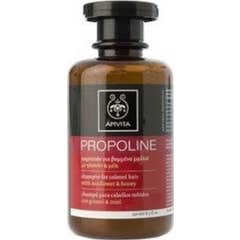 Apivita Champu Cabello Teñidos 250ml