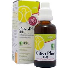 Chocolates Sole Dark Chocolate with Liquorice 73% 100g