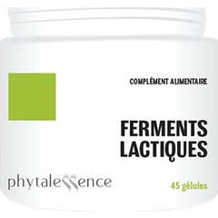 Phytaless Ferment Lactique Gel