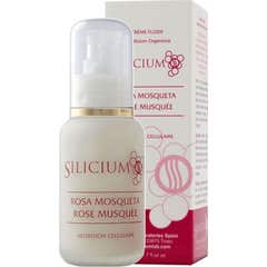 Silicium Rose Hip Silicium 50ml