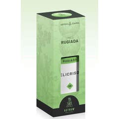 Dew Helichrysum 50Ml