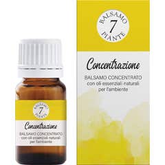 Zeta Balsamo 7 Piante Balsamo Concentrato Concentrazione 15ml