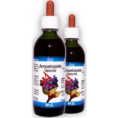 Direos Ampelopsis Veitchii Macerado 150ml