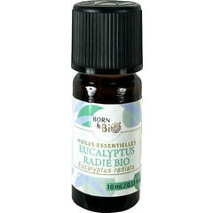 Born To Bio Aceite Esencial Eucalipto Radiata Bio 10 ml