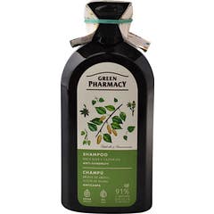 Green Pharmacy Champú Anticaspa Abedul Aceite de Ricino 350 ml
