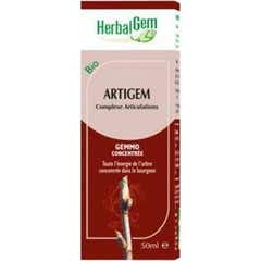 Kruidenkruid Artigem Bio 15ml