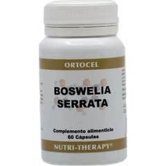 Ortocel Nutri-Therapy Boswelia 60caps Ortocel Nutri-Therapy Boswelia 60caps