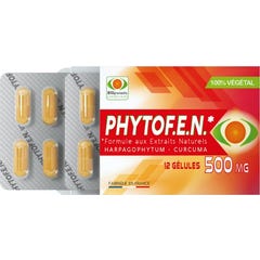 Phytofen 500mg 12 Perlas