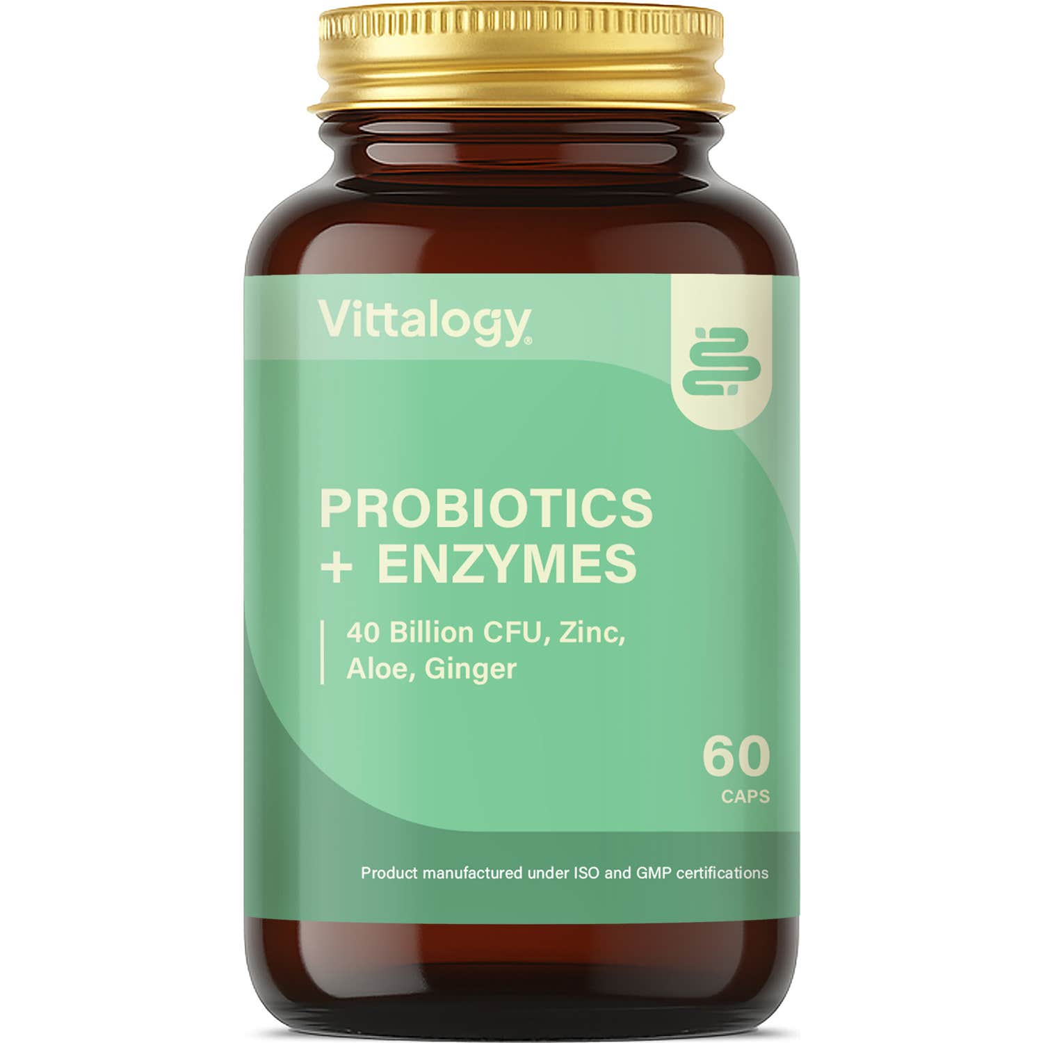 Vittalogy Probiotics + Enzymes 2x60 Comprimidos【PACK AHORRO】