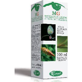 Sangalli Castagno Macerato di Gemme 100 ml