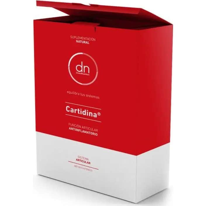 Direct Nutrition Cartidina 20 Sticks - Imagen 2