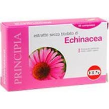 Extracto Seco de Equinácea 60 comp