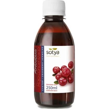 Sotya Rojo Arándano Concentrado 250 Ml