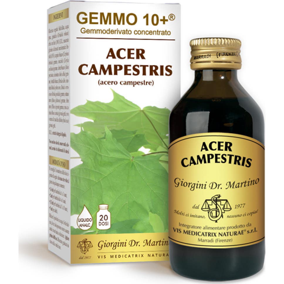Dr. Giorgini Gemmo 10+ Arce Campestris 500ml