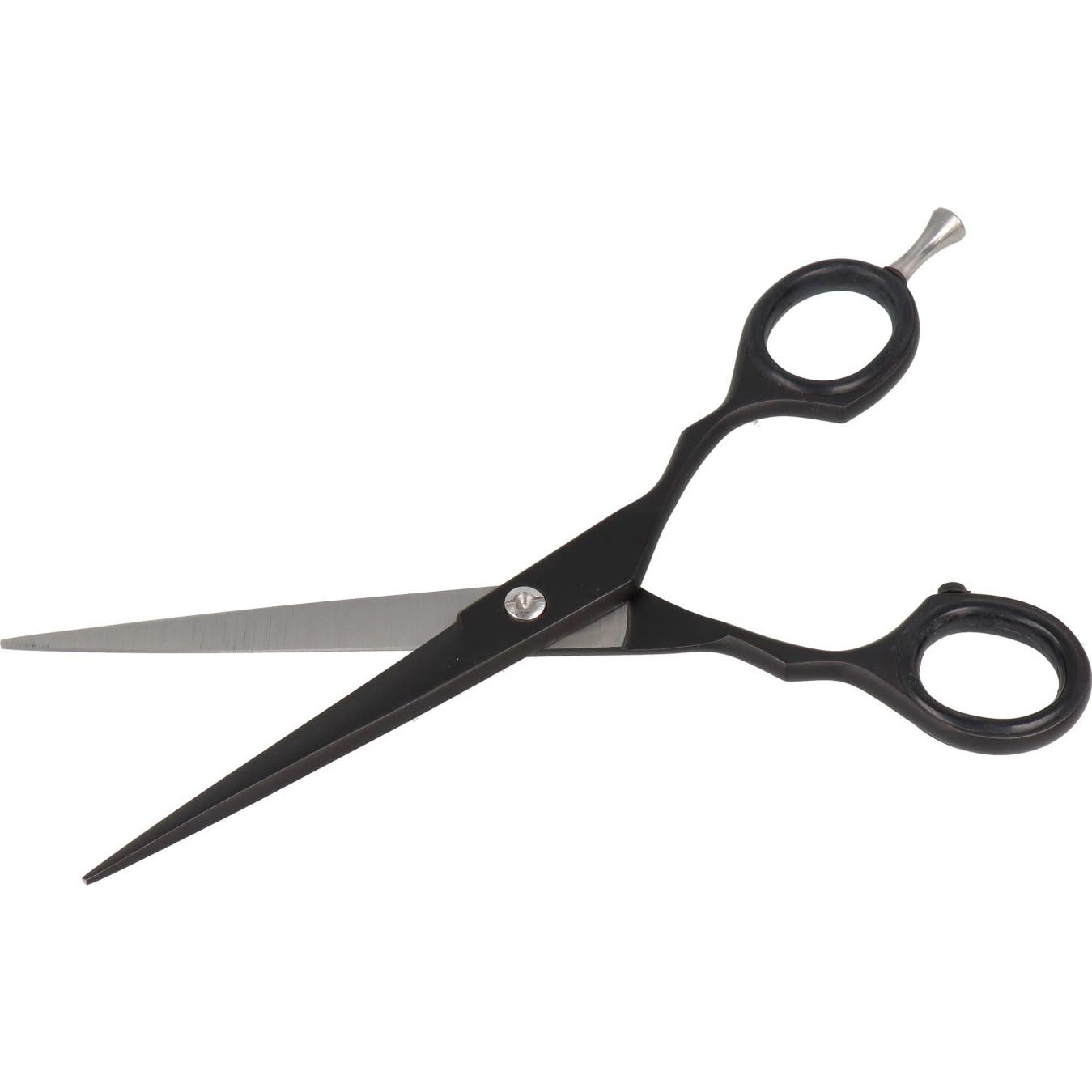 Zenish Tijera Professional Matt Black 6 1ud