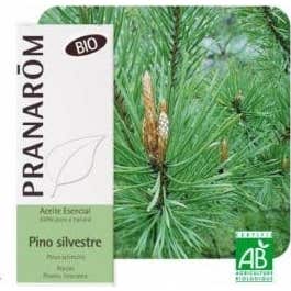 Pino Silvestre Bio 10 ml Aceite Esencial