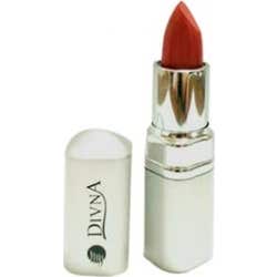 Divna Lip gloss N10 1 ud