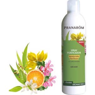 Pranarôm Aromaforce Spray Purificador Naranja Dulce Ravintsara 400ml