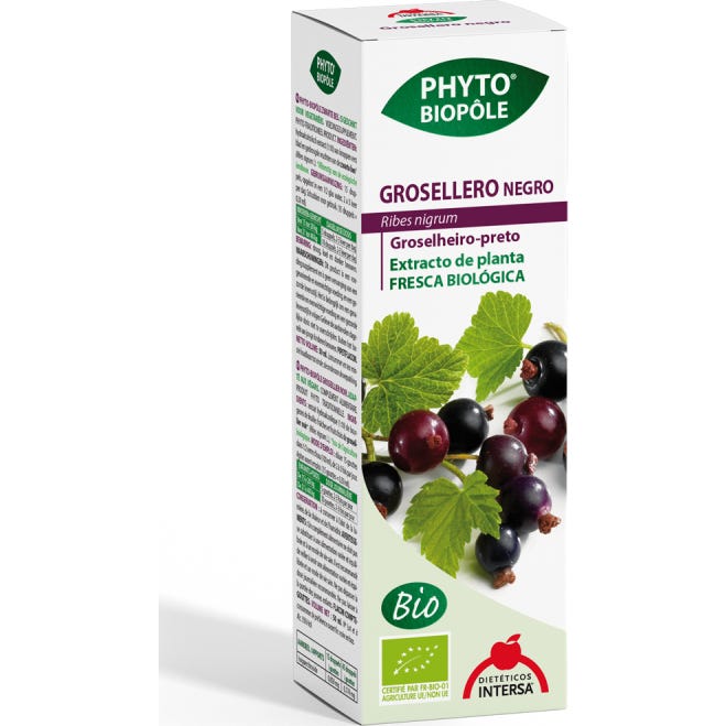 Intersa Negro 3 X Phytobiopole Grosellero (Antiinflamatorio Vasoprotector) 50 Ml - Imagen 2