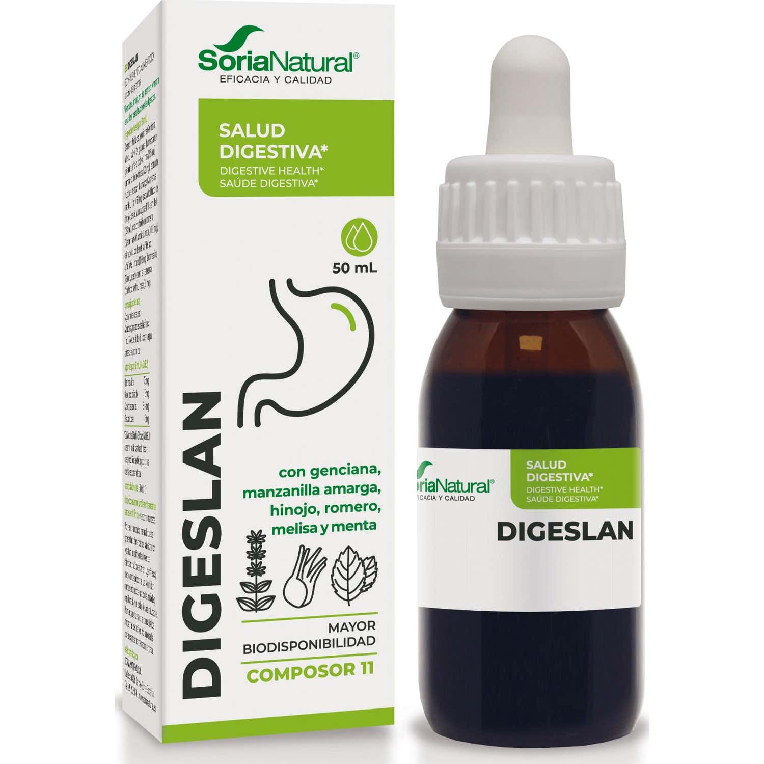 Composor 11 Xxi Digeslan Complex Soria