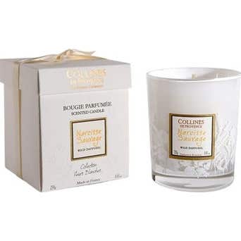 Collines de Provence Vela de Narciso Salvaje 75 g