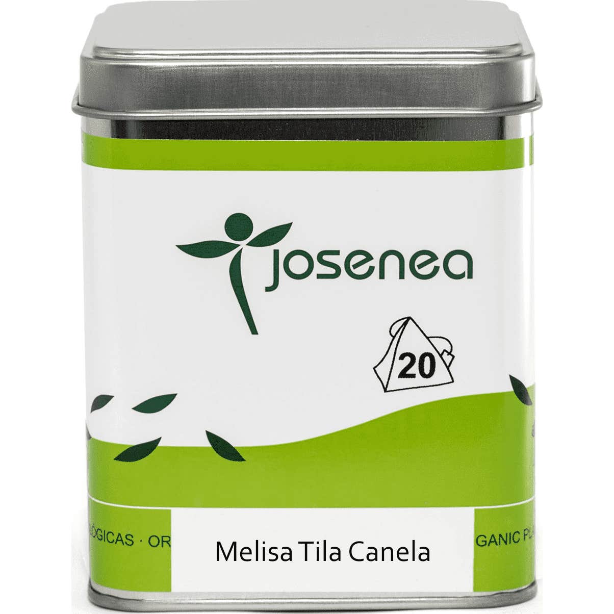 Josenea Melisa Tila Canela BIO 20 pirámides