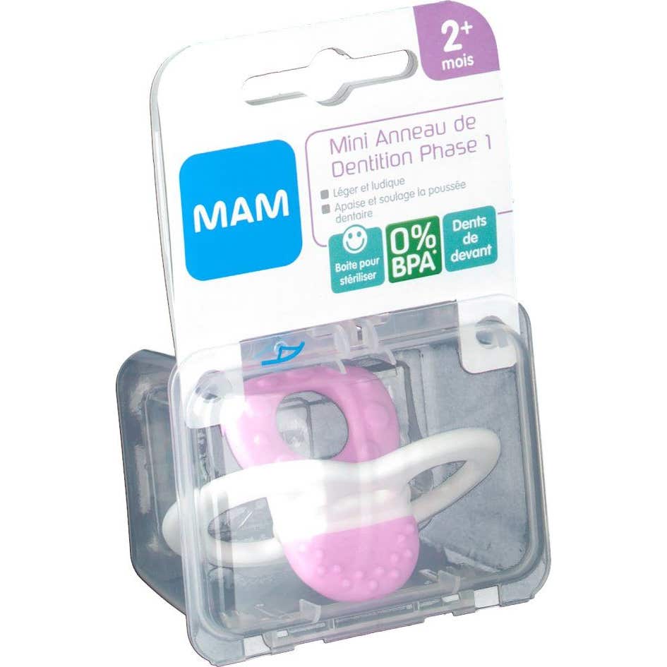 Mam Mini Ann Mini Dent Phase 1