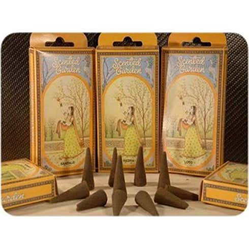 Radhe Shyam Scented Garden Incienso Abrecamino 12 uds