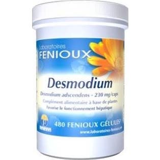 Fenioux Desmodium 480 Caps