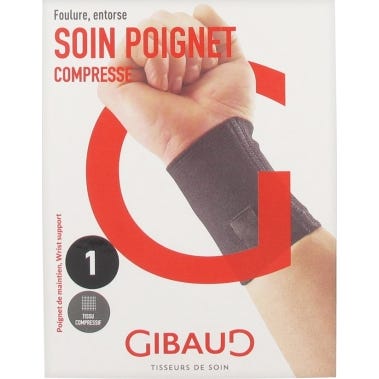 Gibaud Poign Conseil 5033 T1