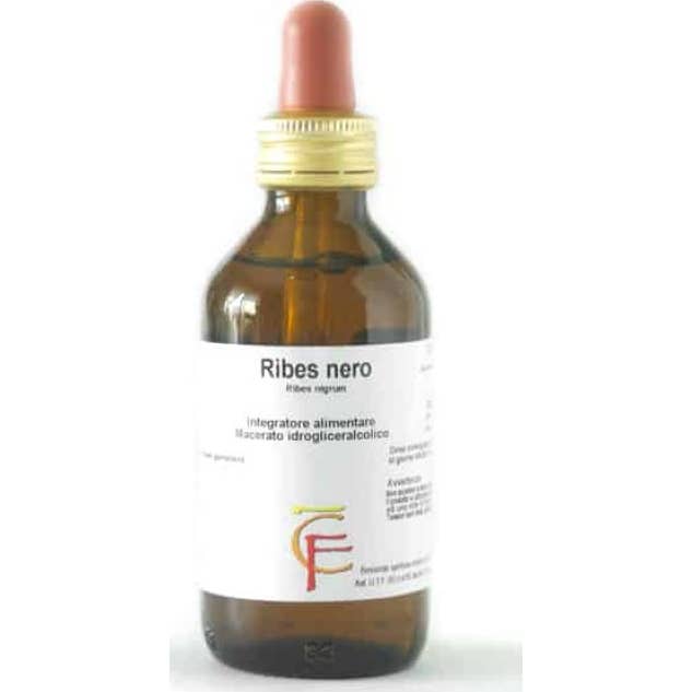 Centro Fiori Ribes gemme glicerina Macerado 100 ml