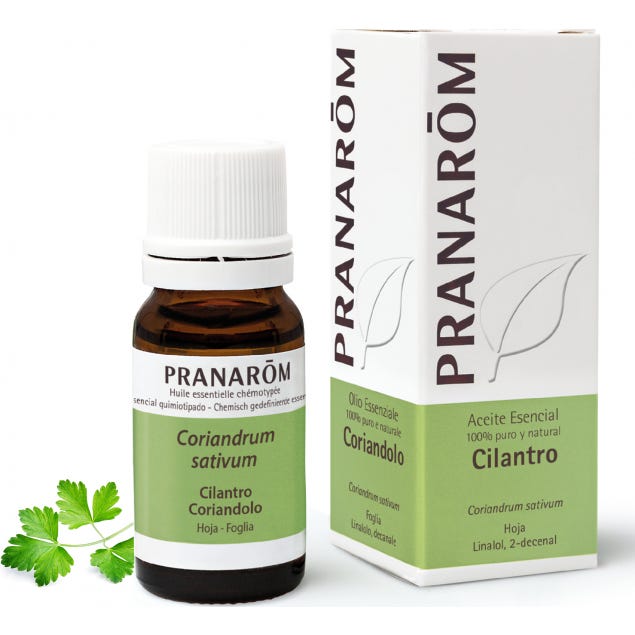 Pranarôm Aceite Esencial de Cilantro 10 ml